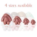 Personalised Custom Plush Bunny Custom Embroidered Easter Bunny First Easter Gift Personalised Easter Gift Plush Bunny With Child'S Name