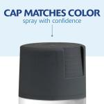 Rust-Oleum 350373 Painter's Touch 2X Ultra Cover Spray Paint, 12 oz, Satin Charcoal Gray