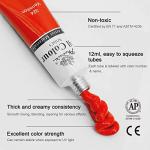 PHOENIX Oil Paint Set, 24x12ml/0.4 Fl Oz Tubes, Non-toxic Oil Based Paints for Canvas Crafts, Great Value Art Supplies for Artists, Adults & Beginners