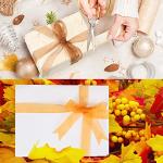 Autumn Sheer Chiffon Ribbon - 200 Yards (1'' Wide)