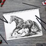 PANDAFLY Willow Charcoal Sticks, Soft, Black Artist Vine Charcoal for Artists, Beginners, Students, Great for Sketching, Drawing, Shading and Fine Art, 7-9mm, 25 Pack