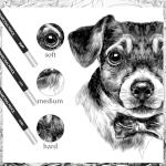 Geyoga 36 Pcs Professional Charcoal Pencils Soft,medium and Hard for Drawing Charcoal Pencils Drawing Set Drawing Pencils for Sketching Shading Drawing Blending Portrait(Black, Assorted)