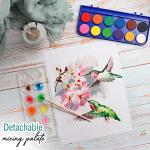 2 Pack Watercolor Paint Set 12 Vivid Colors Includes Watercolour Mixing Palette and 2 Brushes, Perfect For Artists, Beginner Painters, Kids and Adult Painting