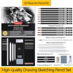PANDAFLY Drawing Sketching Pencil Set, 22 Piece Pro Art Pencil Kit - Graphite Pencils (12B-2H), Black and White Charcoal Pencils, Charcoal Sticks, Stumps, Eraser, Sharpeners