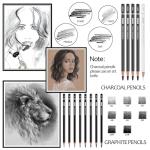 PANDAFLY Drawing Sketching Pencil Set, 22 Piece Pro Art Pencil Kit - Graphite Pencils (12B-2H), Black and White Charcoal Pencils, Charcoal Sticks, Stumps, Eraser, Sharpeners