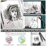 Brusarth Professional Willow Charcoal Pencils Drawing Set - 8 Pieces Soft Medium and Hard Willow Charcoal Pencils for Drawing, Sketching, Shading, Artist Pencils for Beginners & Artists