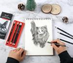 Brusarth Professional Willow Charcoal Pencils Drawing Set - 8 Pieces Soft Medium and Hard Willow Charcoal Pencils for Drawing, Sketching, Shading, Artist Pencils for Beginners & Artists