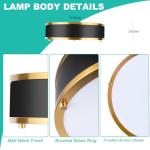 Edwarmlux 12.5 Inch LED Flush Mount Ceiling Light Fixture, 26W, Modern Ceiling Light, 3 Color Adjustable 3000K/4000K/5000K, Dimmable Ceiling Lamp for Bedroom Hallway Bathroom Kitchen (Black Gold)