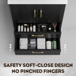 phiestina Fully Pre-Assembled Black 24 inch Bathroom Vanity, 2 Soft Close Doors and 2 Drawers Bathroom Storage Cabinet Set, with 3 Holes Single Ceramic Sink Combo, Faucet Not Included,BV02-BLACK-JH