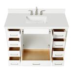 ARIEL 49" White Bathroom Vanity with 1.5" Edge Pure White Quartz Countertop & Backsplash, Center Rectangular Sink, 2 Soft Closing Doors, 9 Full Extension Dovetail Drawers, Brushed Nickel