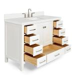 ARIEL 49" White Bathroom Vanity with 1.5" Edge Pure White Quartz Countertop & Backsplash, Center Rectangular Sink, 2 Soft Closing Doors, 9 Full Extension Dovetail Drawers, Brushed Nickel
