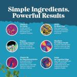 Brain Boosting Nootropic Supplement - Enhanced Cognitive Function