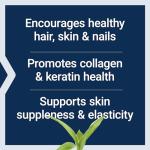 Hair, Skin & Nails Collagen Plus Formula - 120 Count