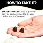 Pure Shilajit Supplement Gummies with Black Seed Oil, High Potency Pure Himalayan Resin for Energy, Immune Support, and Cognitive Function, Lab Tested Chewables