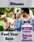 Echinacea 1500 MG x 180 Capsules | USA-made