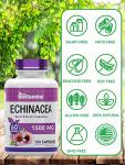 Echinacea 1500 MG x 180 Capsules | USA-made