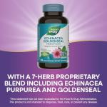 Nature's Way Echinacea Goldenseal Capsules for Immune Support