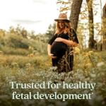 New Chapter Prenatal Vitamins, Organic & Non-GMOIngredients