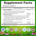 Organic Echinacea Goldenseal Capsules - Herbal Immune Support