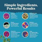 Natural Nootropic Brain Supplement for Memory & Focus