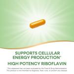 Nature's Way Riboflavin B2 Vitamin, 100mg, 100 Capsules