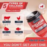 DRFOSTER Multi-Collagen-Peptide Powder with Probiotics - 50 Servings