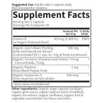 Organic Lion's Mane & Turmeric Brain Health Supplement