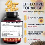 Quinovit CoQ10 100mg with PQQ & Shilajit Capsules