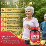 Quinovit CoQ10 100mg with PQQ & Shilajit Capsules