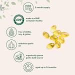 Micro Ingredients Odorless Garlic 7500mg Per Servings, 300 Softgels | 2 Years Aged Garlic Extract, Grown Allium Sativum Bulb | Potent Antioxidant Supplement, Immune Support, and Heart Health