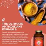 Antioxidant Extreme: 360 Vegan Capsules by Healthforce Superfoods