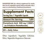 Solgar Pantothenic Acid 550 mg - Vitamin B5