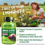 NATURELO Immune Support: Vitamin C, Elderberry, Zinc - 60 Capsules