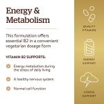 Solgar Vitamin B2 100mg Vegetable Capsules - Energy Boost