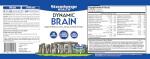 Stonehenge Health Dynamic Brain Supplement - Boost Memory & Focus