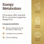 Solgar Vitamin B1 (Thiamin) 500 mg - Energy Support