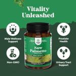 Extra Strength Saw Palmetto Extract - Advanced Saw Palmetto for Women and Men's Hair Health and Urinary Support with Plant Sterols & Flavonoids - Potent Herbal Saw Palmetto Supplement - 100 Capsules