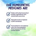 Boiron Histaminum 30C Homeopathic Medicine for Allergies