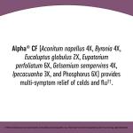 Nature's Way Umcka Cold + Flu FastActives - Berry