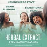 MaryRuth's Ginkgo Leaf Liquid Drops | Herbal Supplement | Nootropic | Circulatory System & Nervous System Health | USDA Organic | Non-GMO | Vegan | 60 Servings