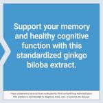 Life Extension Ginkgo Biloba Certified Extract™, 120 mg, Helps Maintain Memory & cognition, Gluten-Free, Non-GMO, Vegetarian, 365 Capsules