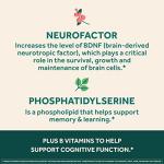 NEURIVA Ultra Decaffeinated Brain Supplement for Mental Alertness