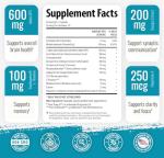 Brain Memory Support Nootropics Lion's Mane 90 Capsules