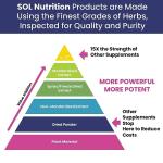 Sol Nutrition GoGo Energy Supplement: Natural Energy Boost, Cortisol Regulation, Focus Support