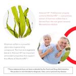 Arterosil HP Professional - Endothelial & Artery Health Support