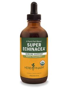 Organic Super Echinacea Liquid Extract for Immune Support