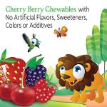 Garden of Life Vegetarian Kids Multivitamin Chewables