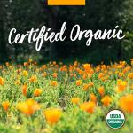 Organic Super Echinacea Liquid Extract for Immune Support