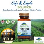 Ginkgo Biloba Capsules – Kosher Vegan Caps with 400mg Ginkgo Biloba Leaf and Ginko Extract