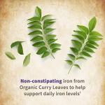 Garden of Life Prenatal Folate Vitamin: Energy & Development